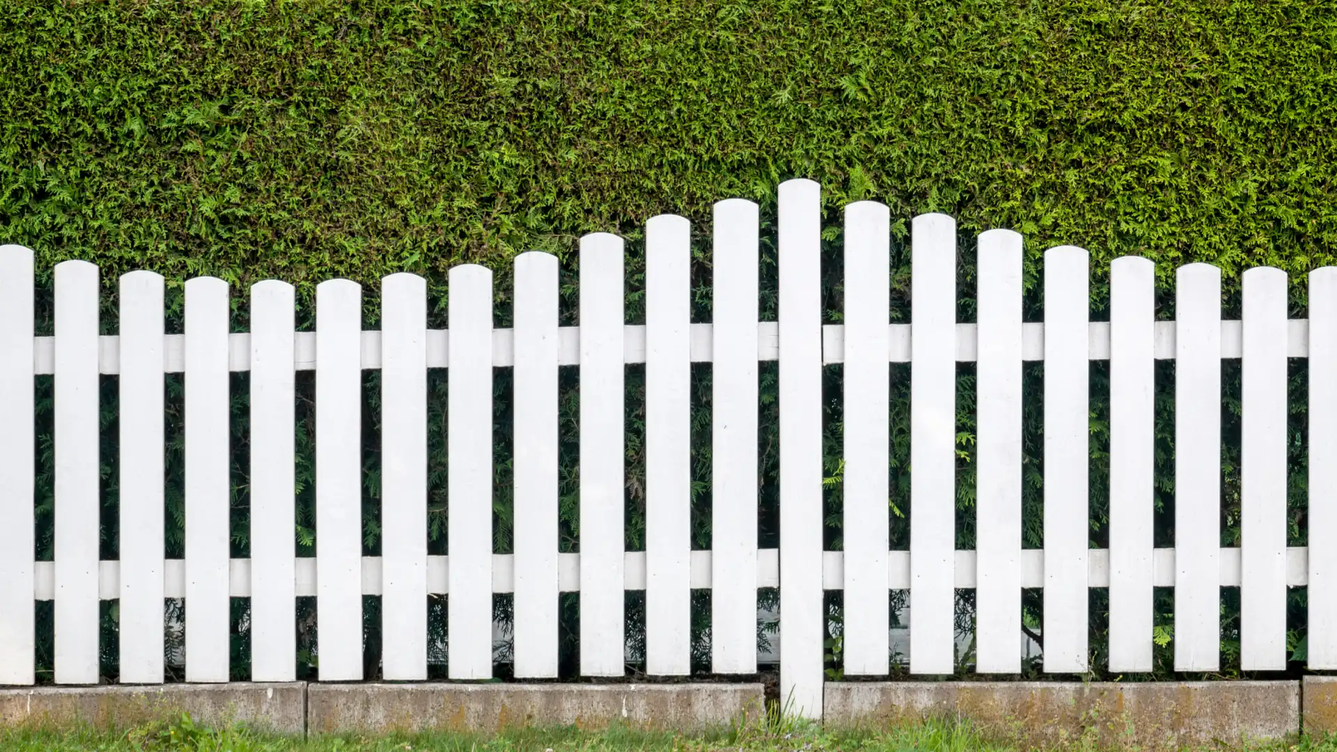 White fence with grass background